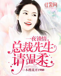一夜锁情,总裁先生请温柔